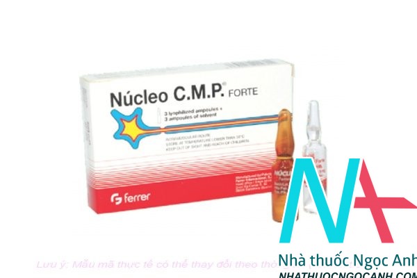 Nucleo CMP forte