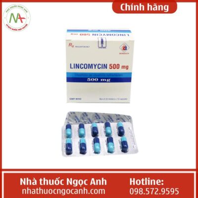 Chỉ định của thuốc Lincomycin 500mg Domesco