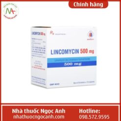 Liều dùng Lincomycin 500mg Domesco
