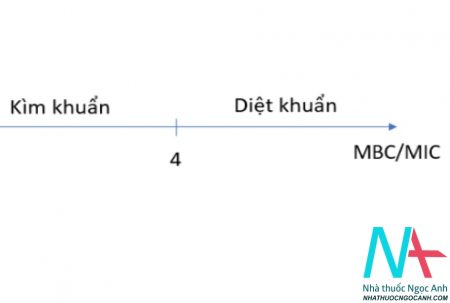 cơ chế tác dụng của kháng sinh