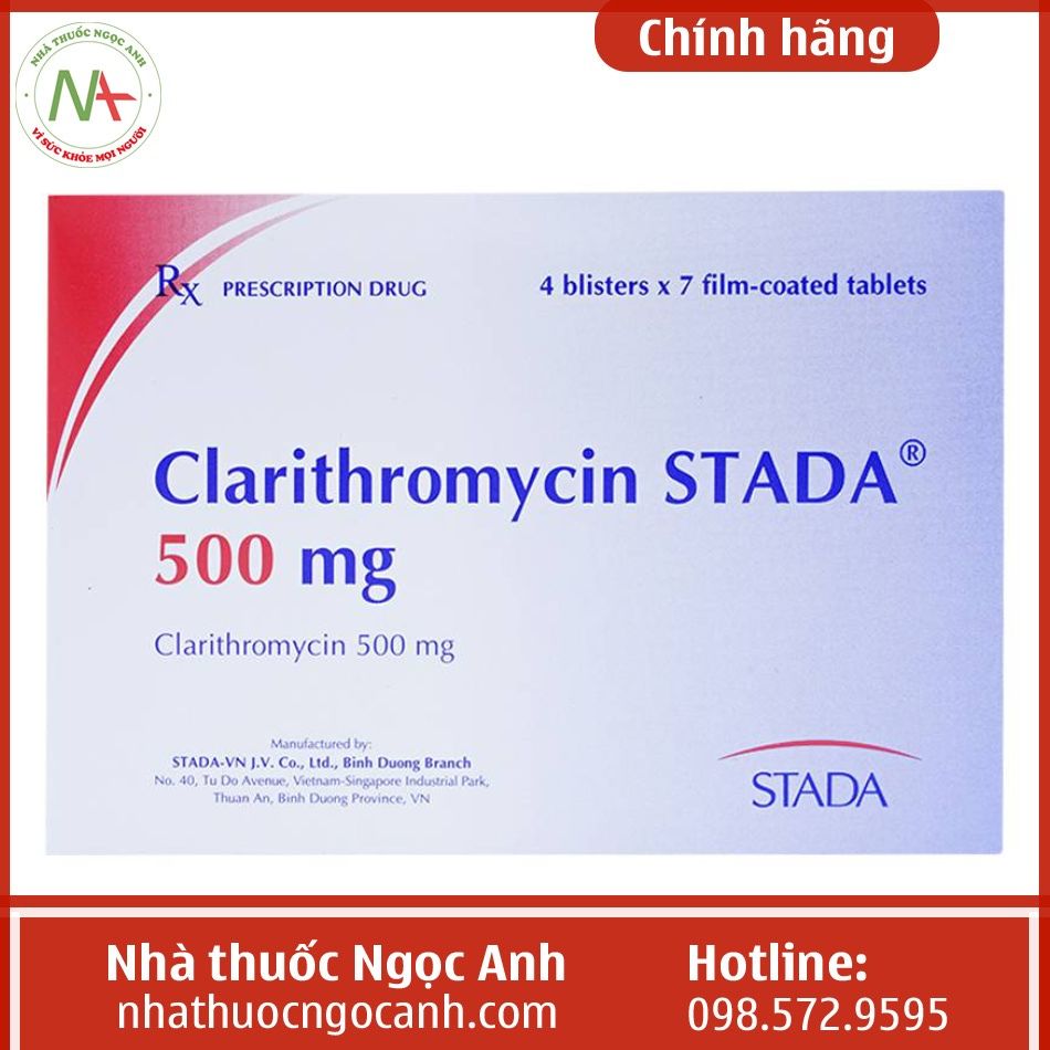 Đại diện Clarithromycin Stada 500 mg