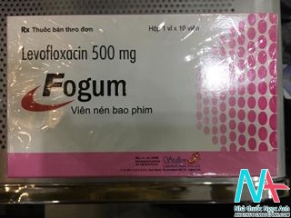 Hộp thuốc Fogum 500mg