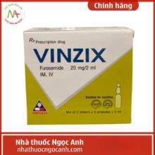 Vinzix 20mg/2ml