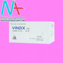 Vinzix