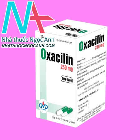 Oxacilin 250mg