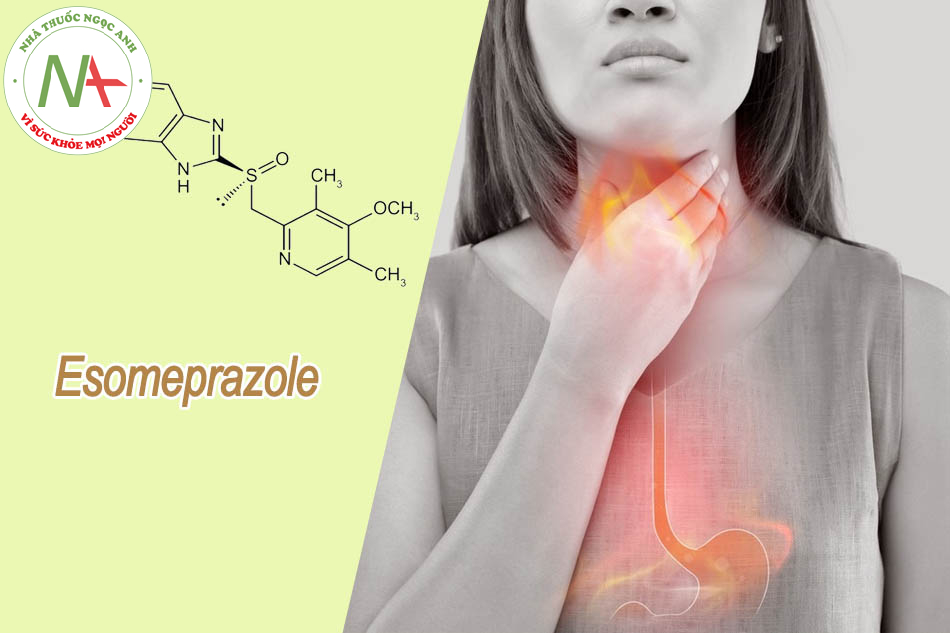 Esomeprazole được chỉ định trong điều trị trào ngược dạ dày thực quản