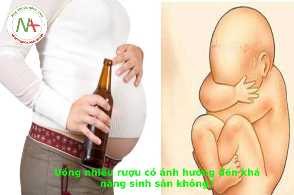Sự ảnh hưởng của rượu đối với khả năng thụ thai như thế nào?