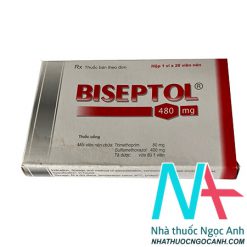 Thuốc Biseptol 480 có tác dụng gì