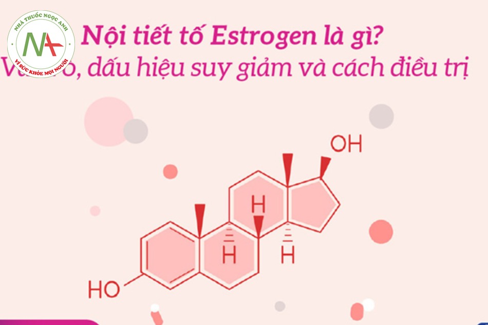 Hormone estrogen có tác dụng