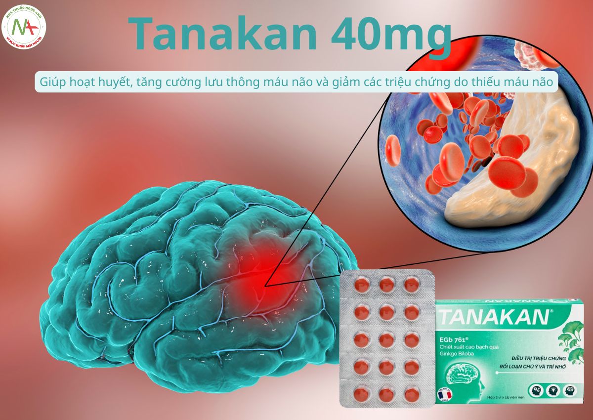 Tanakan 40mg 6 Tanakan 40mg