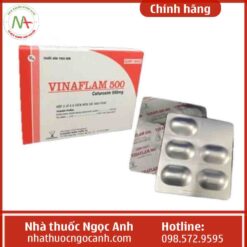 Hộp thuốc Vinaflam 500