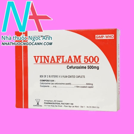 Vinaflam 500