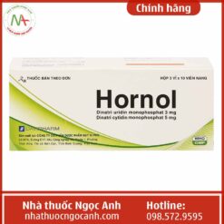 Hộp thuốc Hornol