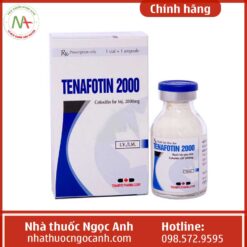 Hộp thuốc Tenafotin 2000