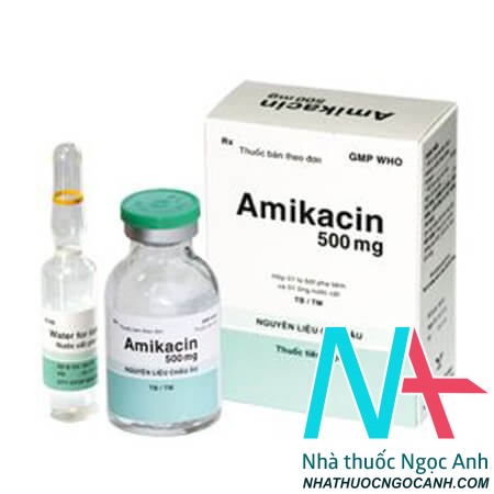 Hộp thuốc amikacin 500mg