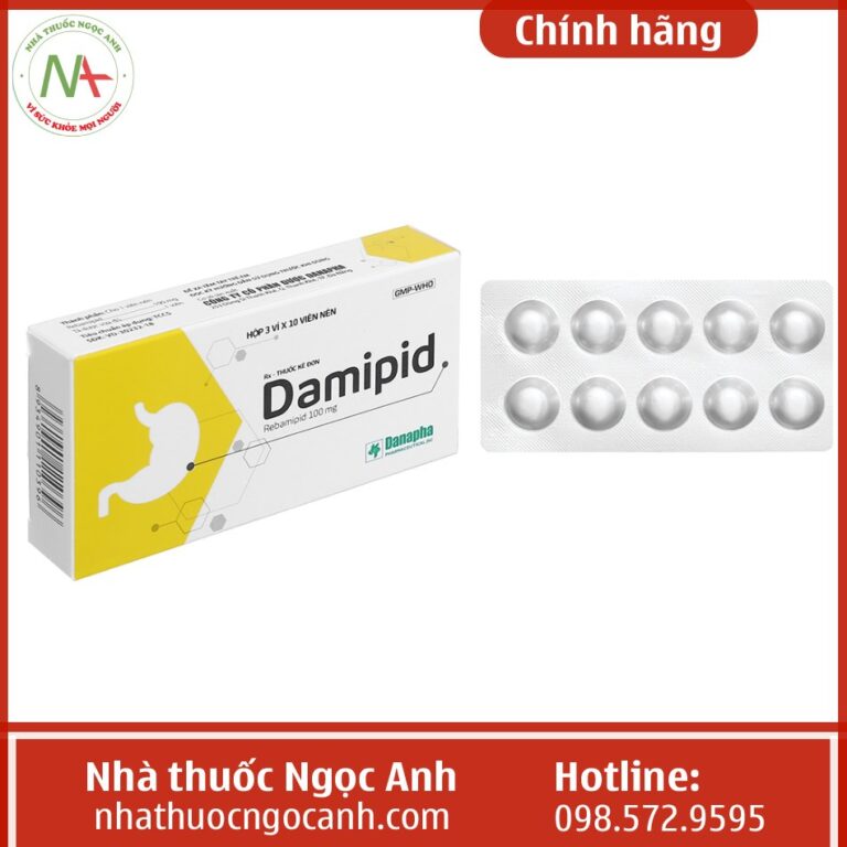 Damipid