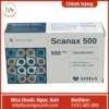 Scanax 500 Stella