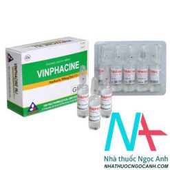 thuốc Vinphacine được chỉ định để điều trị nhiễm khuẩn nặng
