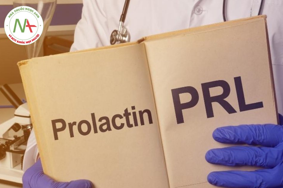 Prolactin là một loại hormone liên quan đến quá trình tiết sữa hoặc sản xuất sữa mẹ