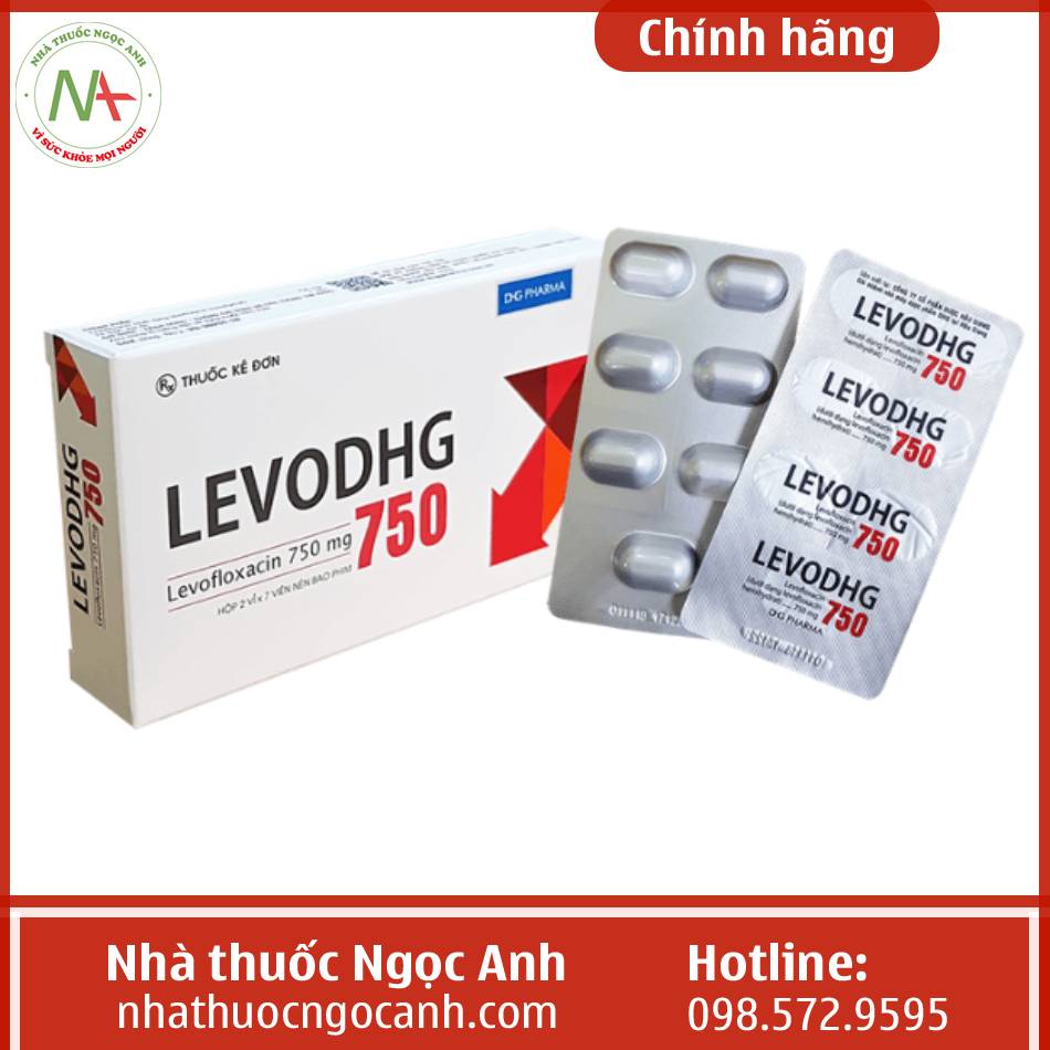Thuốc LevoDHG 750 là thuốc gì?