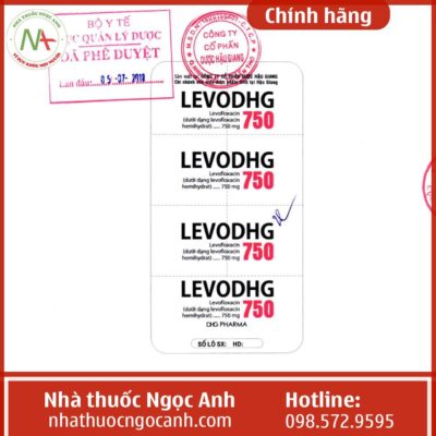 Thuốc LevoDHG 750 là thuốc gì?