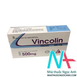 Vincolin là thuốc gì