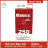 Hộp thuốc Clamoxyl 250mg