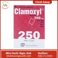 Hộp thuốc Clamoxyl 250mg