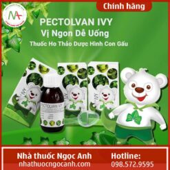 Hộp thuốc Pectolvan Ivy