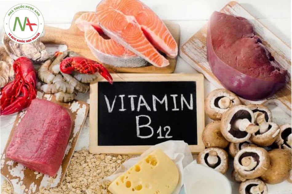 Ăn cá hồi, thịt nạc,... trong các bữa ăn hàng ngày để bổ sung Vitamin B12