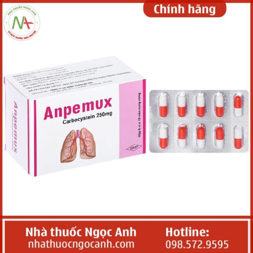 Công dụng thuốc Anpemux