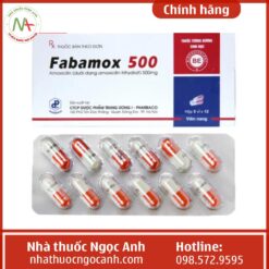 thuốc Fabamox 500