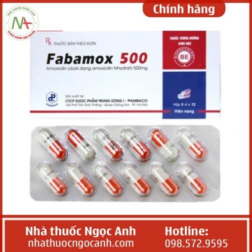 thuốc Fabamox 500