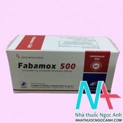 Thuốc Fabamox 500 là thuốc gì
