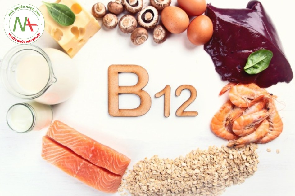 Vitamin B12 là gì?