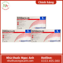 Piperacillin Panpharma 1g