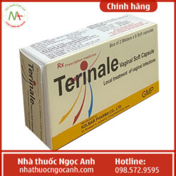 Hộp thuốc Terinale