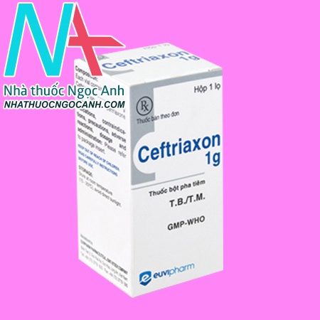 Hộp thuốc Ceftriaxon