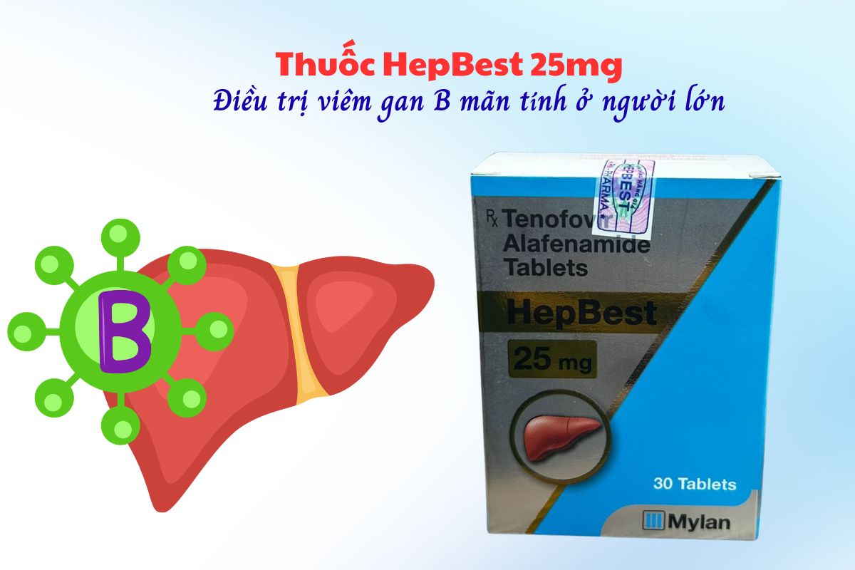 HepBest 25mg 11 Thuốc HepBest 25mg điều trị viêm gan B