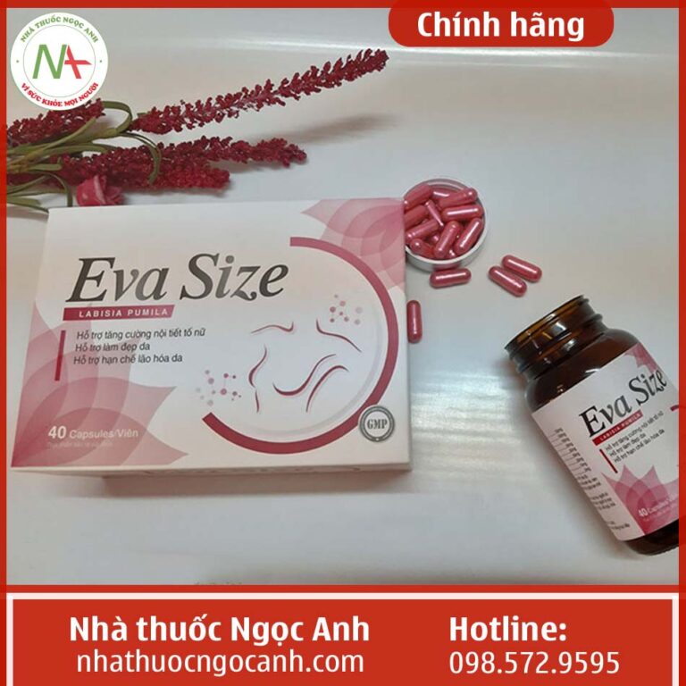 Hộp Eva Size chính hãng