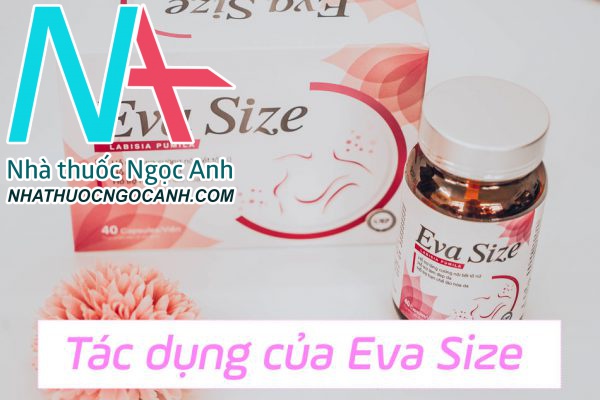 Tác dụng của Eva Size