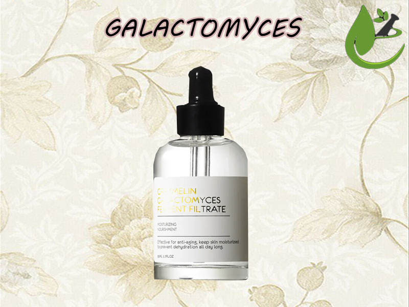 Galactomyces ferment filtrate