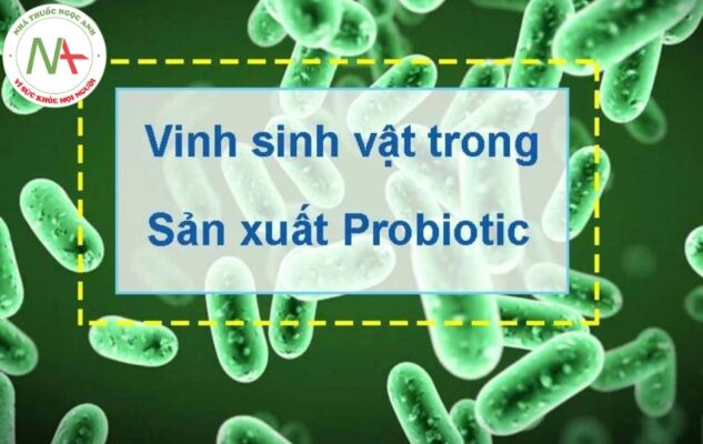 Ứng dụng vi sinh vật trong sản xuất các sản phẩm probiotic