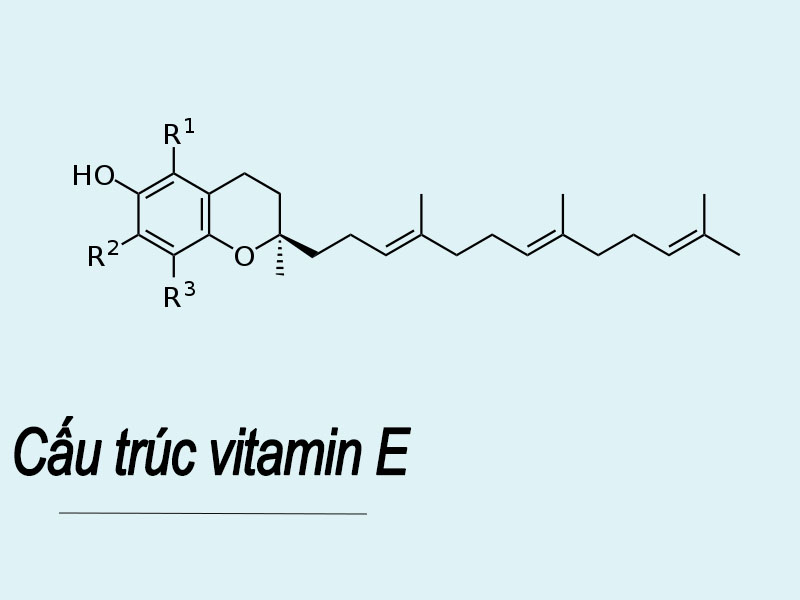 Cấu trúc vitamin E