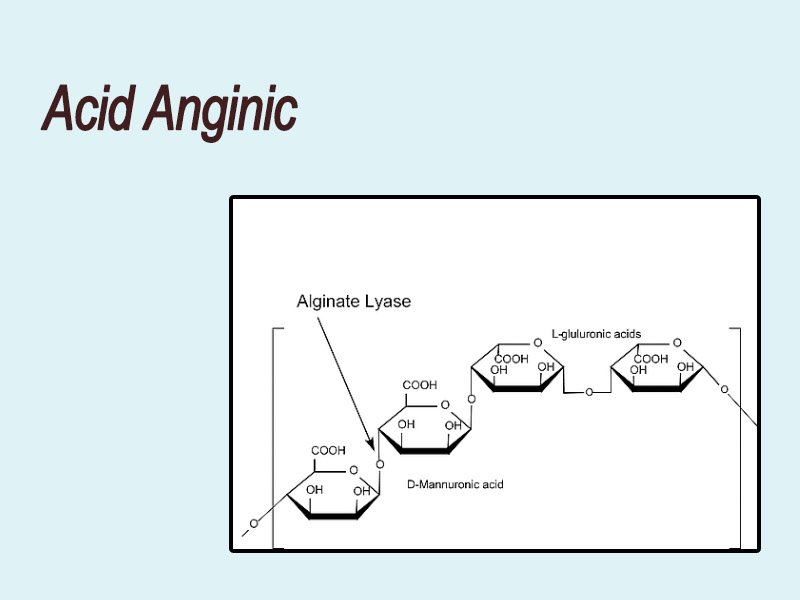 Cấu trúc phân tử của Acid alginic