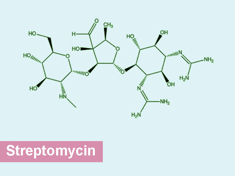 Công thức kháng sinh streptomycin