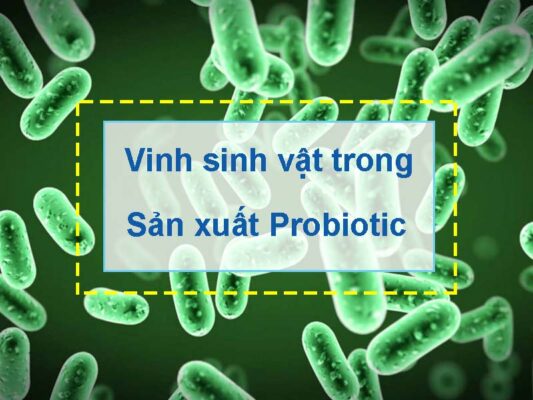 Ứng dụng vi sinh vật trong sản xuất các sản phẩm probiotic
