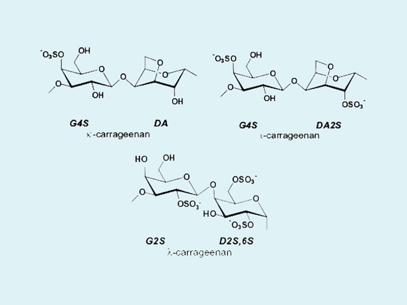 Cấu trúc hóa học của carrageenan