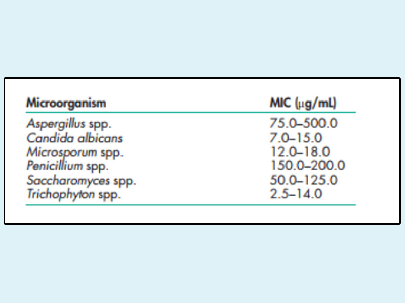 MIC của Chlohexidin đối với một số loại nấm