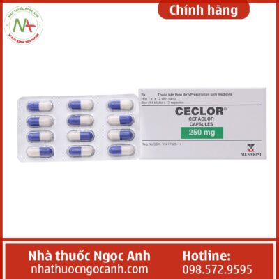 Thuốc Ceclor 250mg Menarini là thuốc gì?